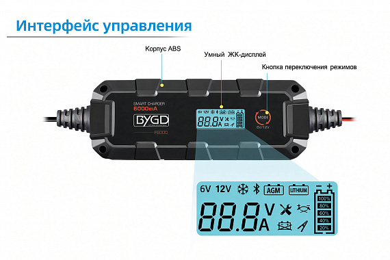F6000 - интеллектуальное зарядное устройство 6A